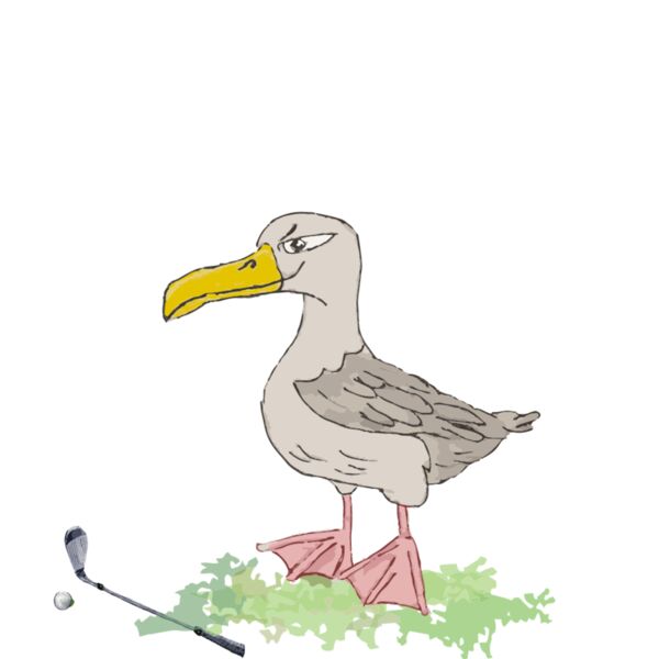 Albatross Back Print On To Dark Thumbnail